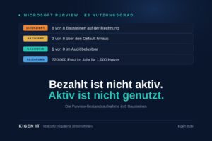 Purview: bezahlt, aktiviert, genutzt. Die Bestandsaufnahme in 8 Bausteinen